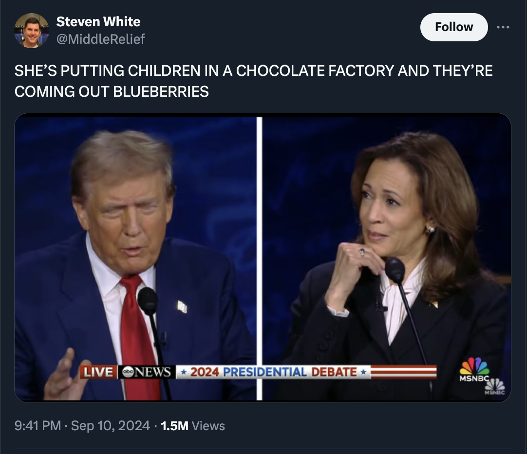 newscaster - Steven White She'S Putting Children In A Chocolate Factory And They'Re Coming Out Blueberries Live News 2024 Presidential Debate Msnbc 1.5M Views